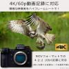 Picture of Panasonic DC-S1-K full size mirrorless single-lens camera lumics S1 body 24.2 m