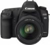 Picture of camera digital SLR Canon corpo EOS 5D Markii camera